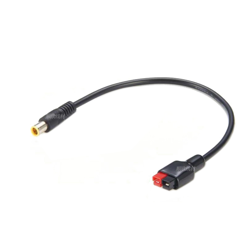 DC7909 kabel koneksi Anderson  - Outdoor Power Extension ulasan dan harga